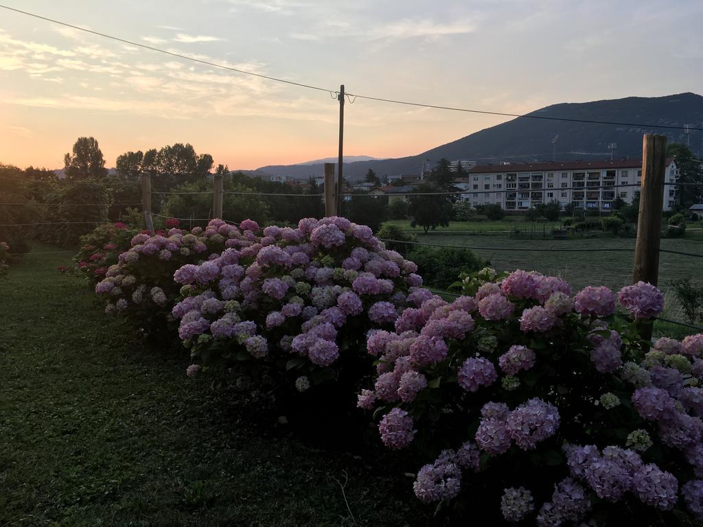 Apartment Nova Gorica - Nocitve Falco Eksteriør billede