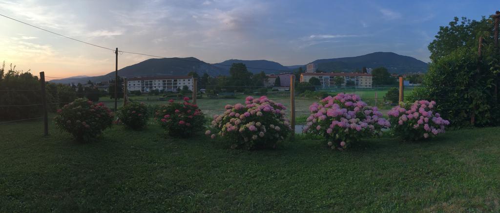 Apartment Nova Gorica - Nocitve Falco Eksteriør billede